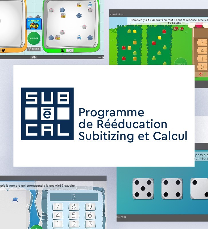 logiciel SUBéCAL subitizing, logiciel rééducation pour stimuler la cognition mathématique.