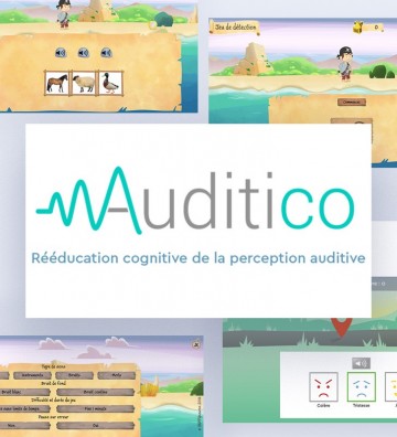 Auditico