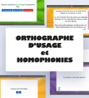 Orthographe et homophonies