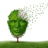 Troubles neurologiques adulte